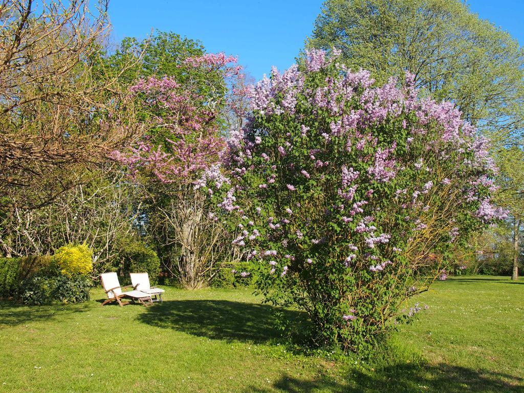Gite De Charme Au Bord Du Tarn Marssac-sur-Tarn Εξωτερικό φωτογραφία